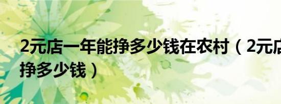 2元店一年能挣多少钱在农村（2元店一年能挣多少钱）