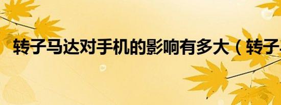 转子马达对手机的影响有多大（转子马达）