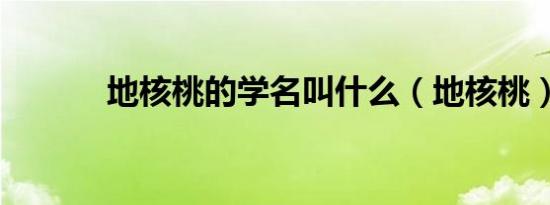地核桃的学名叫什么（地核桃）