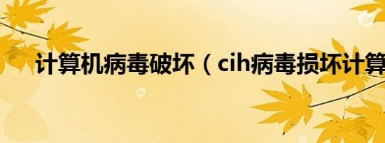 计算机病毒破坏（cih病毒损坏计算机）