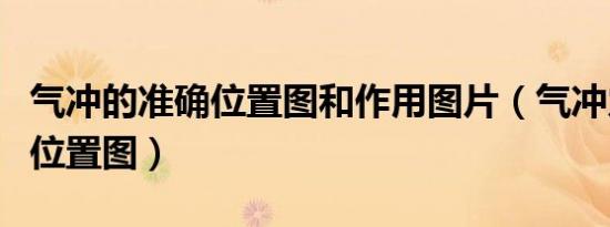 气冲的准确位置图和作用图片（气冲穴的准确位置图）