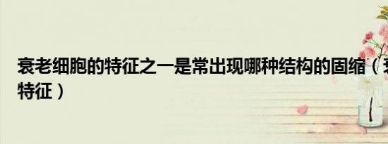 衰老细胞的特征之一是常出现哪种结构的固缩（衰老细胞的特征）