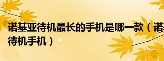 诺基亚待机最长的手机是哪一款（诺基亚超长待机手机）