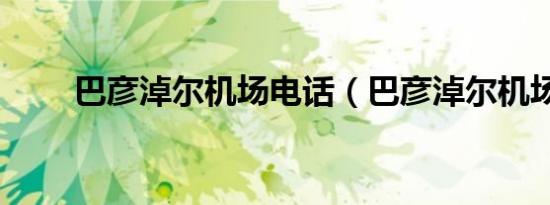 巴彦淖尔机场电话（巴彦淖尔机场）