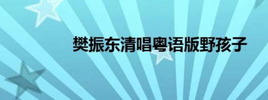 樊振东清唱粤语版野孩子