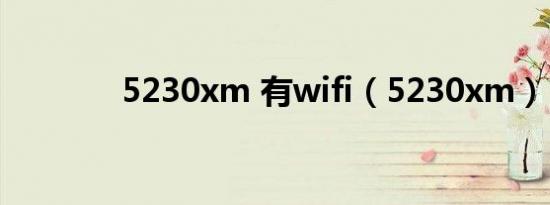 5230xm 有wifi（5230xm）