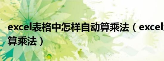 excel表格中怎样自动算乘法（excel怎么自动算乘法）