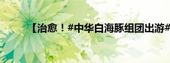 【治愈！#中华白海豚组团出游#】