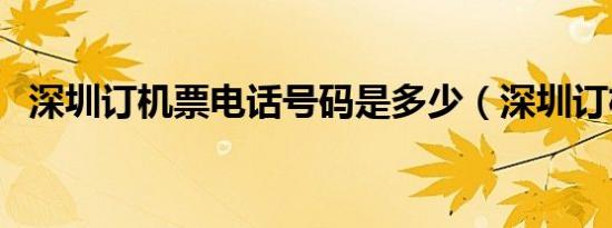 深圳订机票电话号码是多少（深圳订机票）