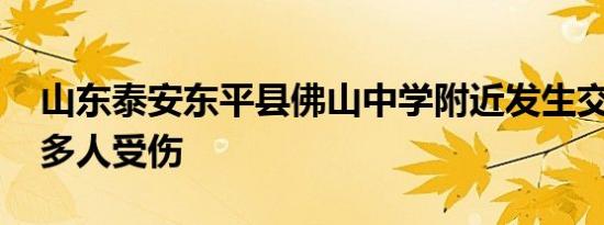 山东泰安东平县佛山中学附近发生交通事故 多人受伤