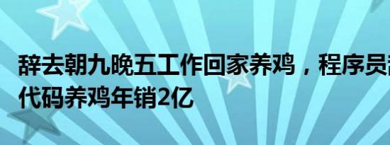 辞去朝九晚五工作回家养鸡，程序员辞职用低代码养鸡年销2亿