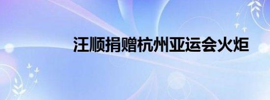汪顺捐赠杭州亚运会火炬