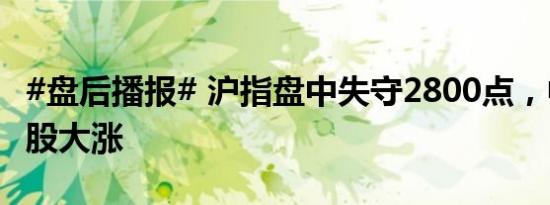#盘后播报# 沪指盘中失守2800点，中船系个股大涨