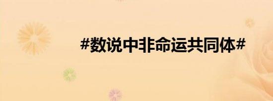#数说中非命运共同体#