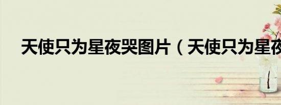 天使只为星夜哭图片（天使只为星夜哭）