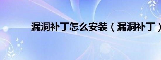 漏洞补丁怎么安装（漏洞补丁）