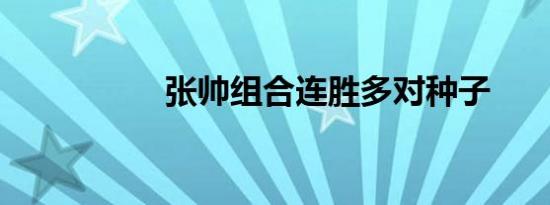 张帅组合连胜多对种子