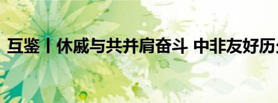 互鉴丨休戚与共并肩奋斗 中非友好历久弥新