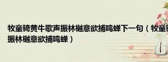 n7265无线网卡驱动（n72软件）