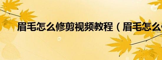 眉毛怎么修剪视频教程（眉毛怎么修）