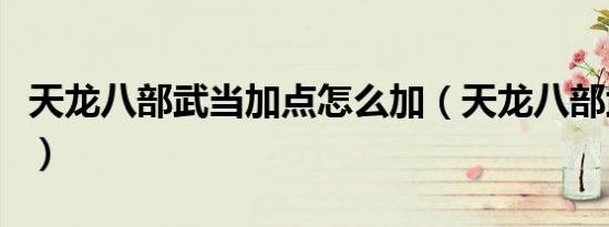 天龙八部武当加点怎么加（天龙八部武当加点）