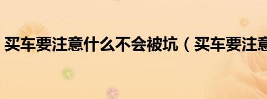 买车要注意什么不会被坑（买车要注意什么）