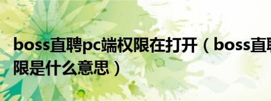 boss直聘pc端权限在打开（boss直聘pc端权限是什么意思）