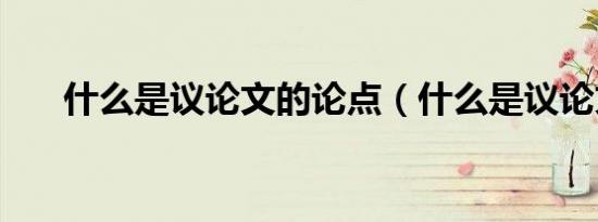 什么是议论文的论点（什么是议论文）