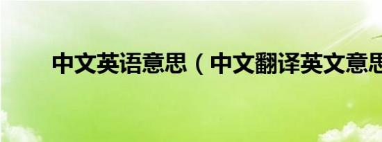 中文英语意思（中文翻译英文意思）