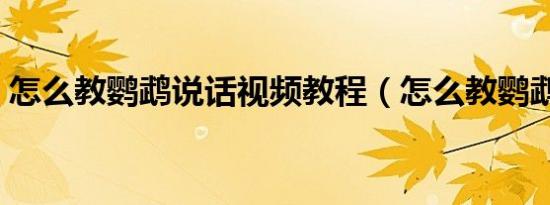 恶魔突袭者矛（恶魔突袭者）