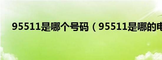 95511是哪个号码（95511是哪的电话）