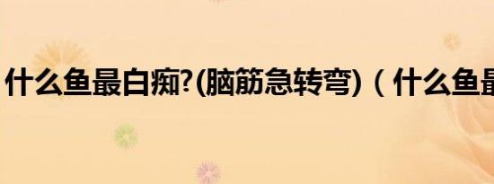 什么鱼最白痴?(脑筋急转弯)（什么鱼最白痴）