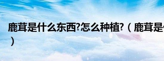 鹿茸是什么东西?怎么种植?（鹿茸是什么东西）
