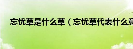 忘忧草是什么草（忘忧草代表什么意思）