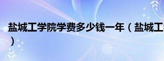 盐城工学院学费多少钱一年（盐城工学院学费）
