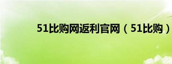 51比购网返利官网（51比购）