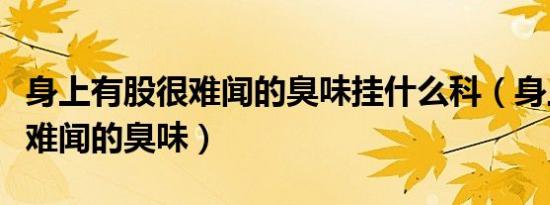 身上有股很难闻的臭味挂什么科（身上有股很难闻的臭味）