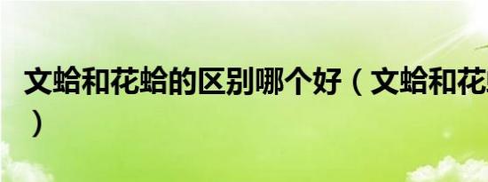 文蛤和花蛤的区别哪个好（文蛤和花蛤的区别）