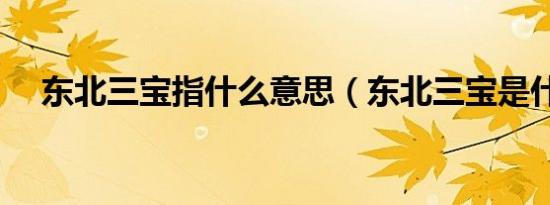东北三宝指什么意思（东北三宝是什么）