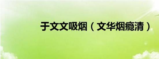 于文文吸烟（文华烟瘾清）