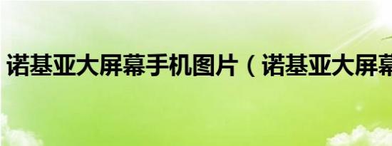 诺基亚大屏幕手机图片（诺基亚大屏幕手机）