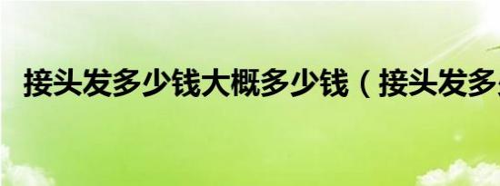 接头发多少钱大概多少钱（接头发多少钱）