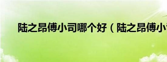 陆之昂傅小司哪个好（陆之昂傅小司）