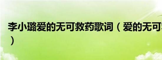 李小璐爱的无可救药歌词（爱的无可救药歌词）