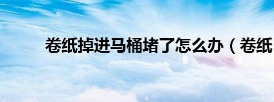 卷纸掉进马桶堵了怎么办（卷纸）