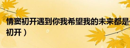 情窦初开遇到你我希望我的未来都是你（情窦初开）