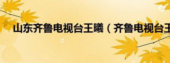 跑跑卡丁车进不去登录界面（跑跑卡丁车进不去）