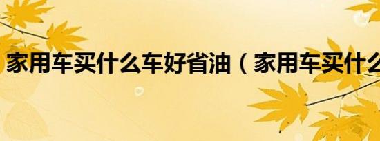 家用车买什么车好省油（家用车买什么车好）