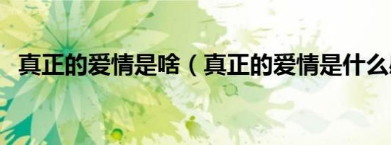 真正的爱情是啥（真正的爱情是什么感觉）