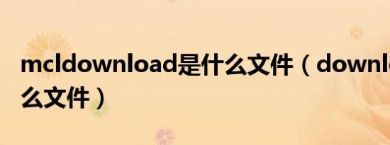 mcldownload是什么文件（download是什么文件）